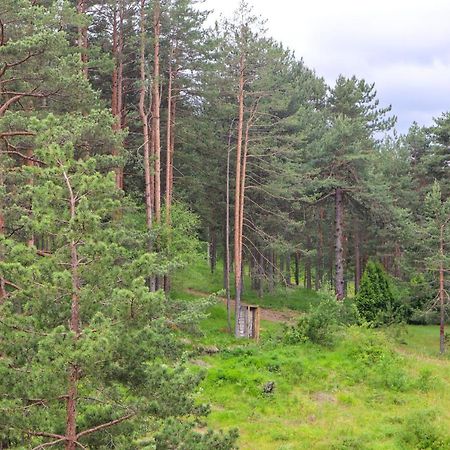 Zlatibor Holiday, Vila Leonardo VI Eksteriør bilde