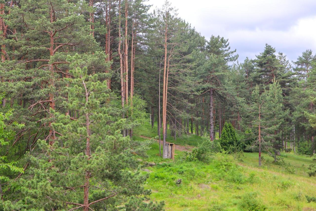 Zlatibor Holiday, Vila Leonardo VI Leilighet Eksteriør bilde