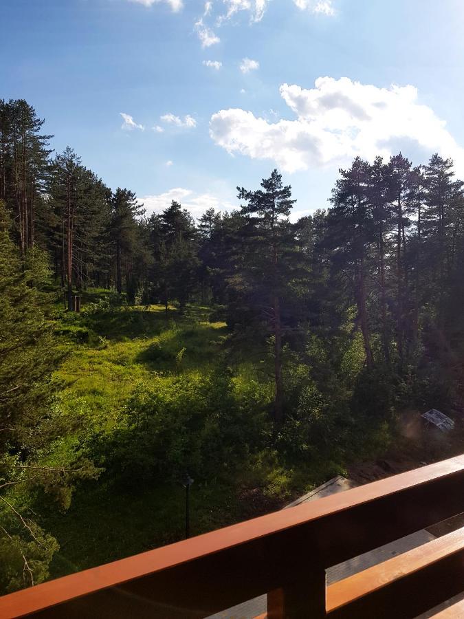 Zlatibor Holiday, Vila Leonardo VI Eksteriør bilde